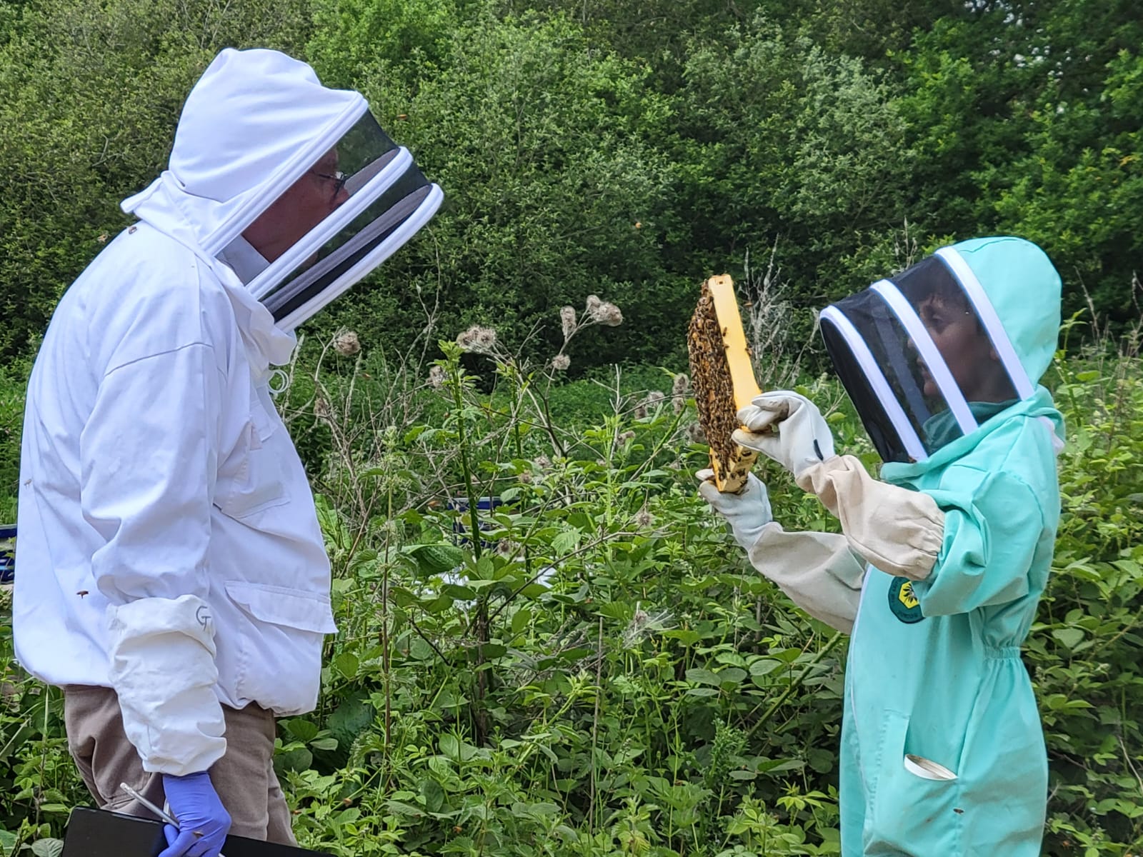 Hoorah! I passed my Certificate in Apiculture – basic assessment